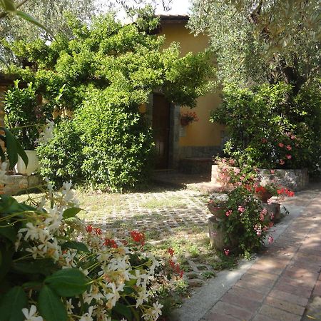 Residence E B&B Villamirella Palinuro Kültér fotó